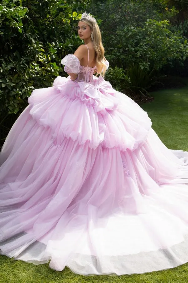 Glitter Quinceanera Dress Long Ball Gown