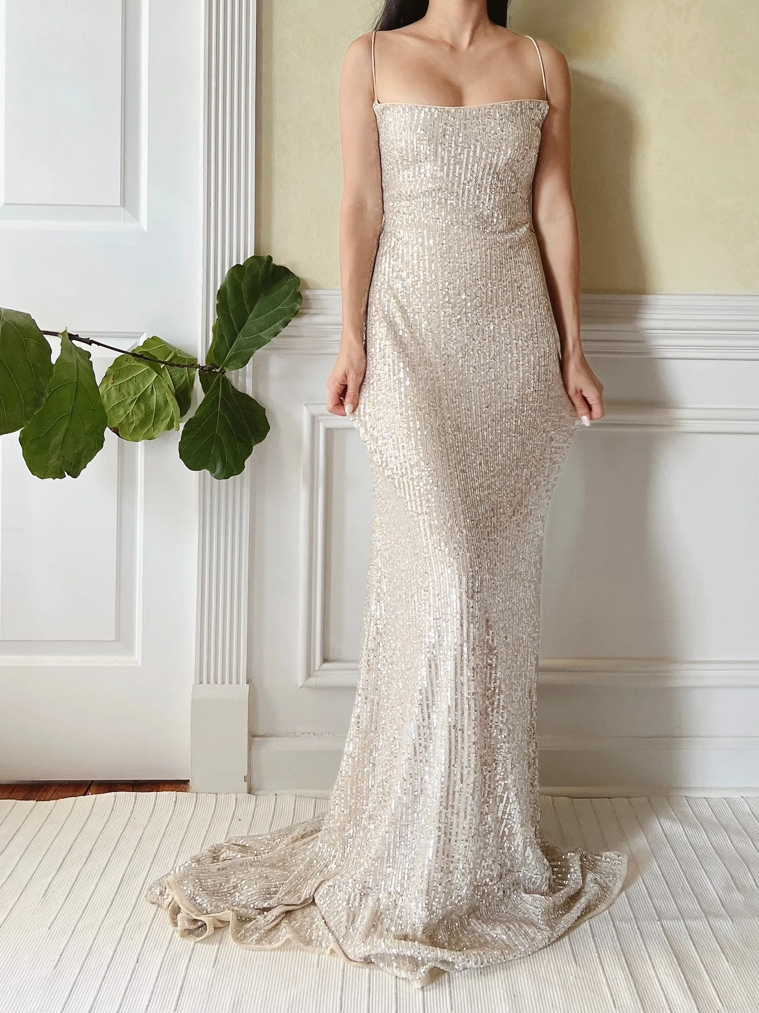 Nude Trained Sequins Gown - S/4/6