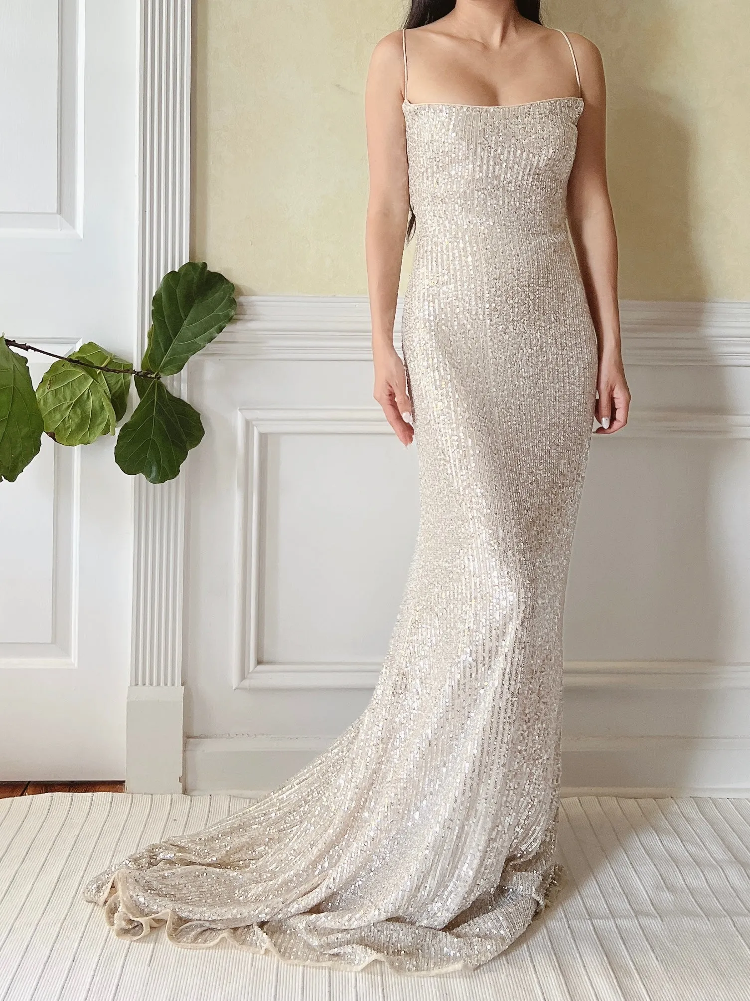 Nude Trained Sequins Gown - S/4/6